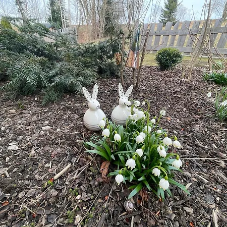 Lägenhet Am Miriquidi *