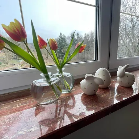 Appartement Am Miriquidi